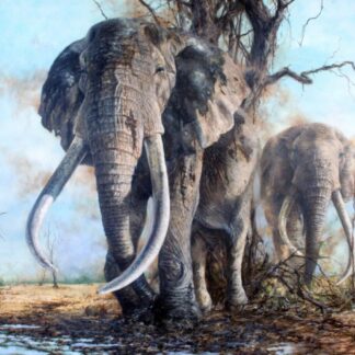 Giant Elephants in the Savanna – Oil Painting by Deon Stols