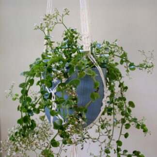 MACRAMÉ POT PLANT HANGER #005