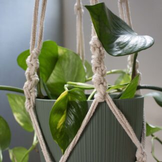 MACRAMÉ POT PLANT HANGER #007